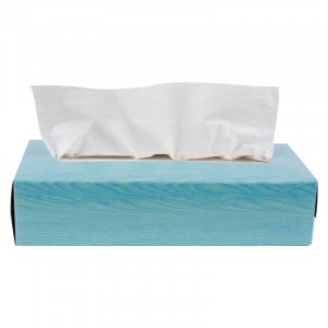 2 Ply Facial Tissue