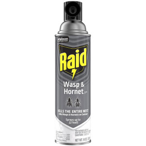 Raid® Wasp and Hornet Killer