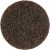 2" Type R Premium Surface Conditioning Disk - Brown (Coarse)