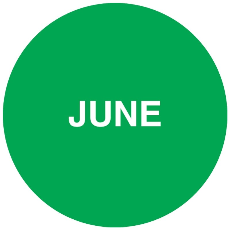 3" Round Month Of The Year Label, June, Green, 500/Roll