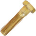 3/4-10 X 3 HEX CAP SCREW GR 8 ZINC/ YELLOW