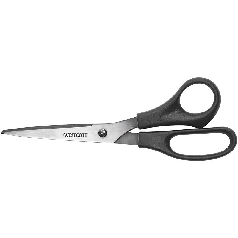 Stainless Steel Scissors, 8"